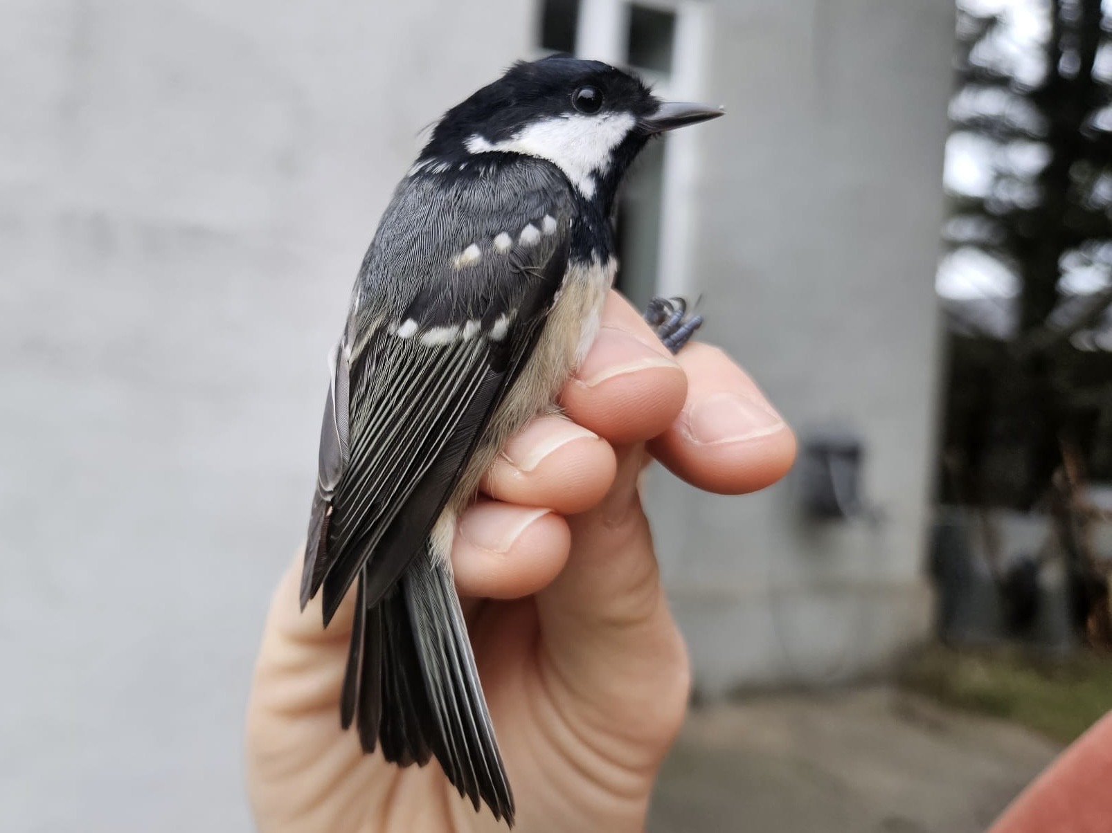 02176ecc-bd30-4d19-99e0-45d96e032d5e.jpg