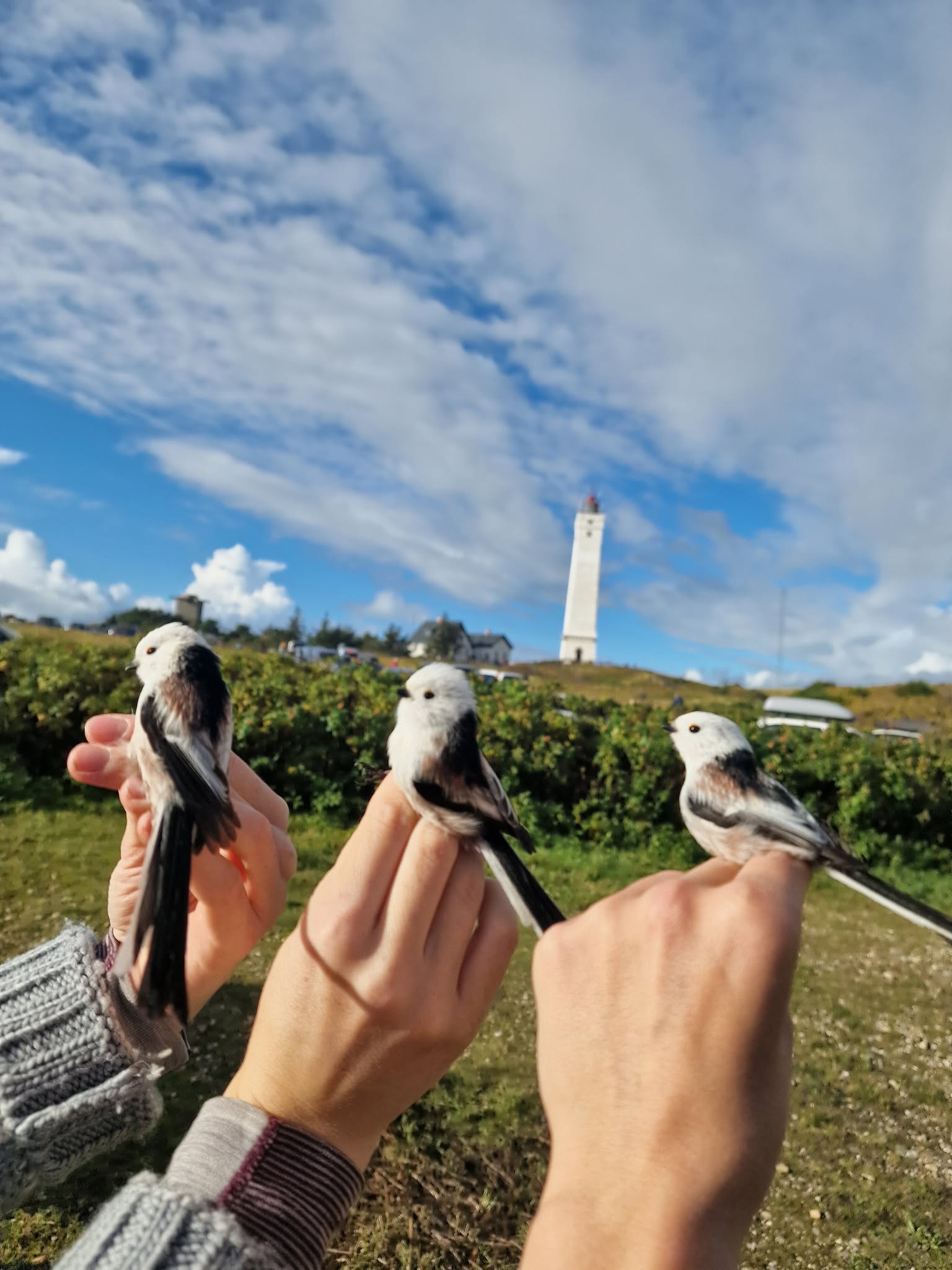 566538887 24646248068409082 884654391900993124 n