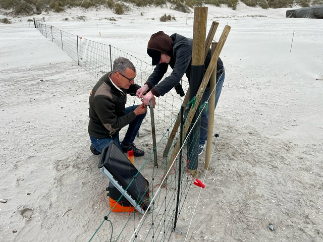 Electric_Fence_Set_Up_BLV.jpeg