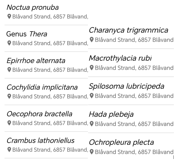 Moth_List_02-06.png