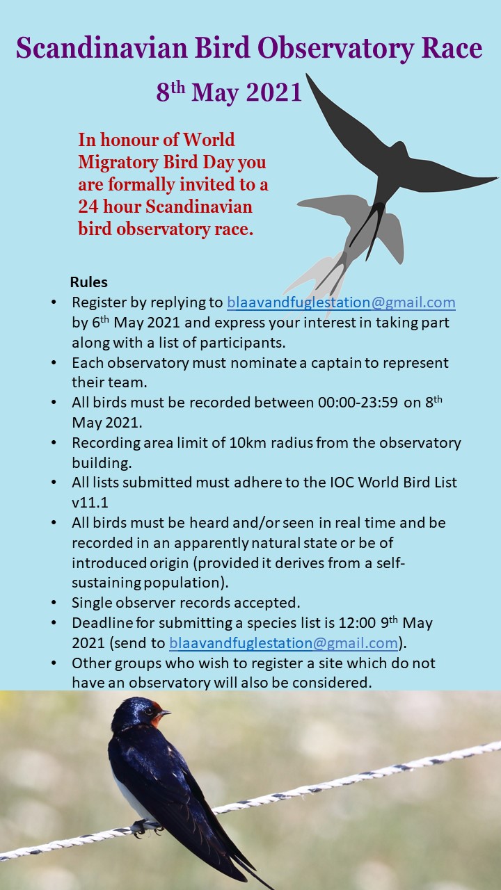 Scandinavian Bird Observatory Bird Race