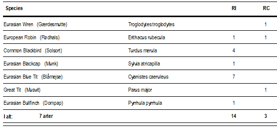 Skærmbillede 2025 11 03 195404