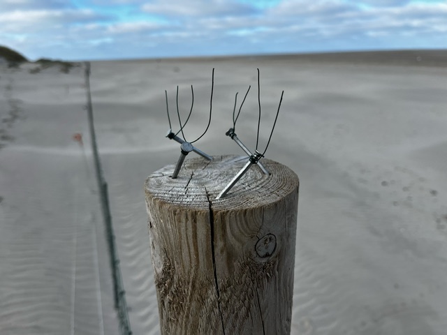 anti_perch_huntig_spikes.jpeg