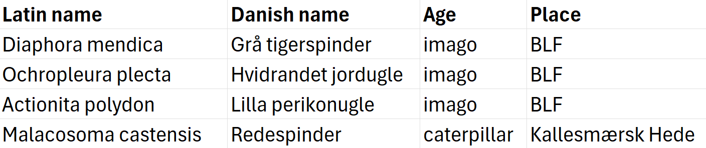 moths_16-05-25.png