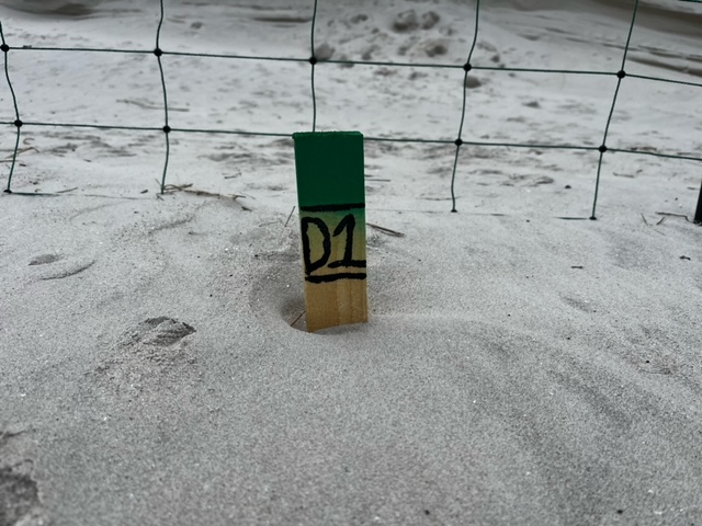 sand_drift_measuremet.jpeg