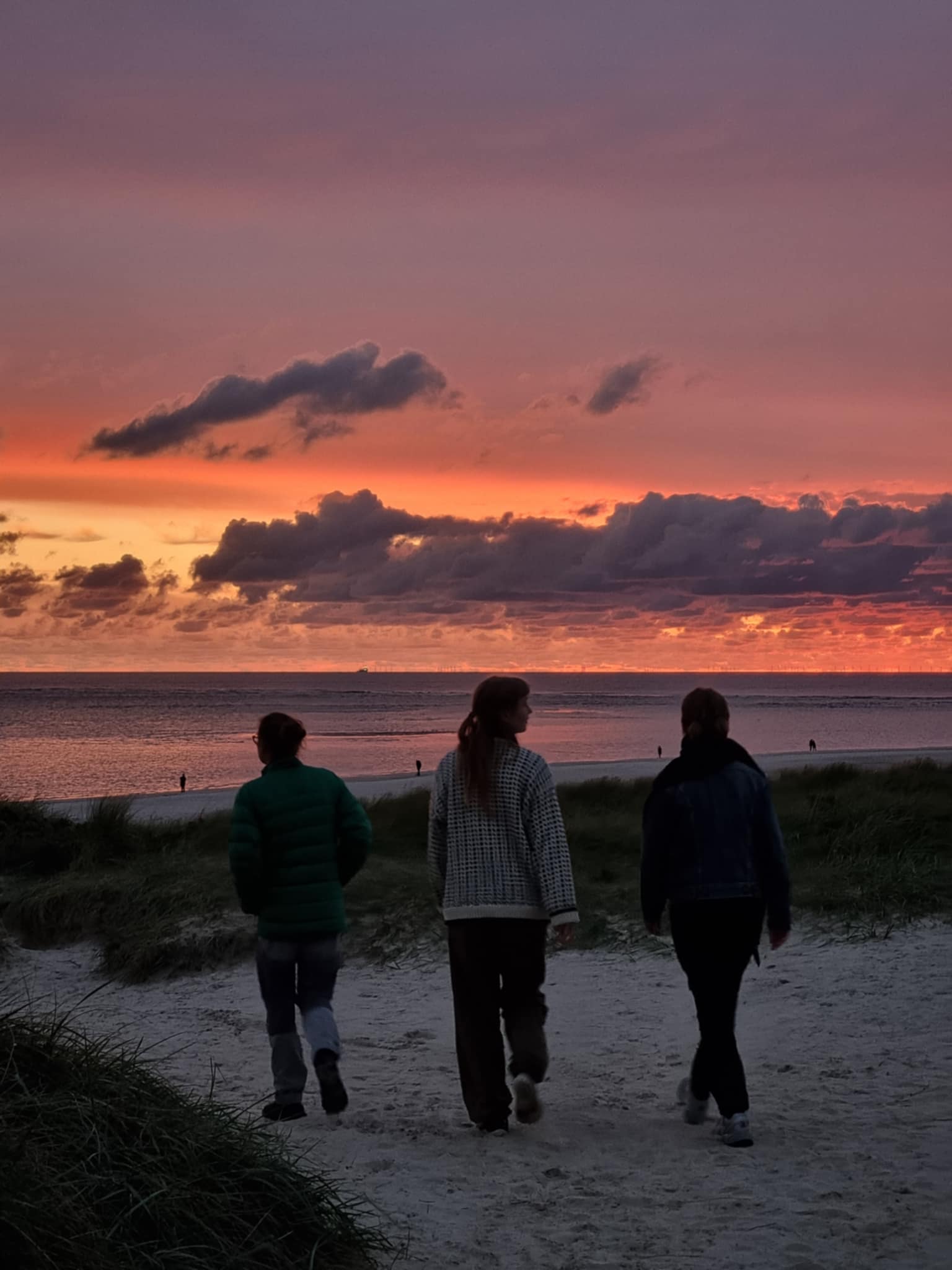 solnedgang